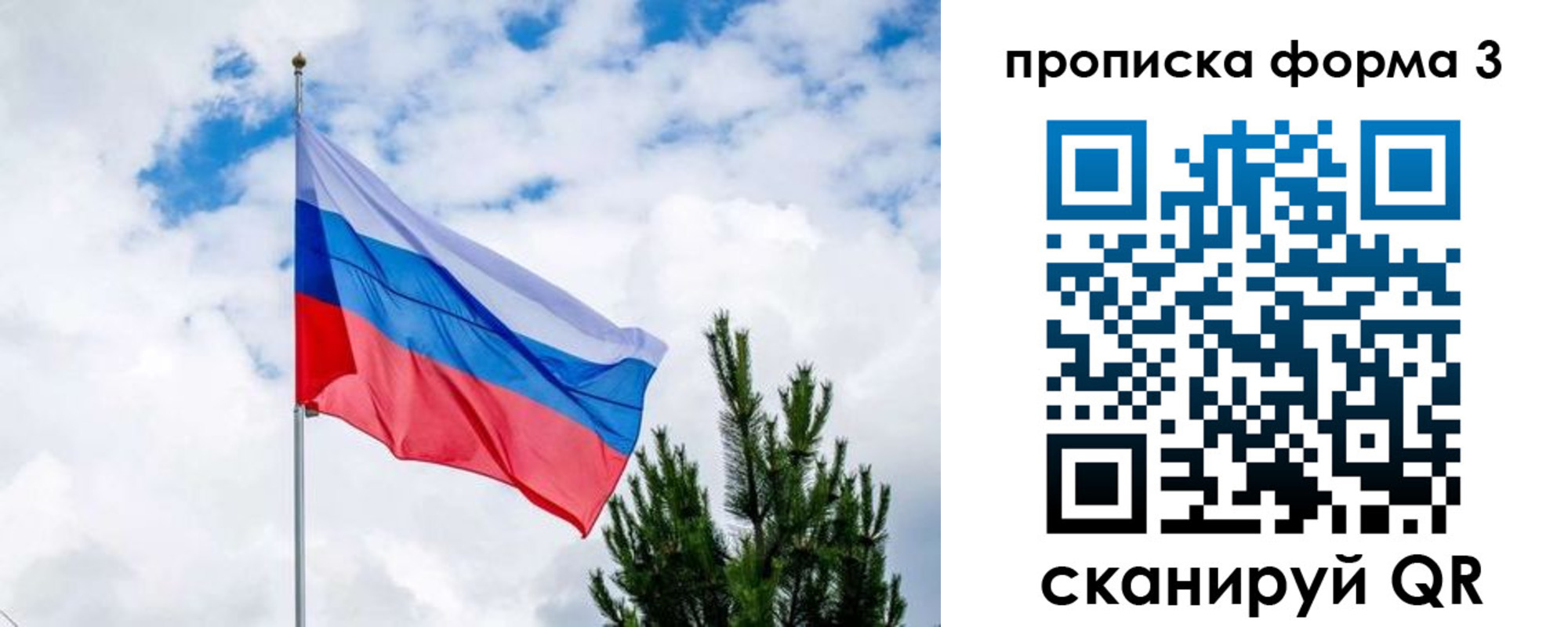 прописка для школы в Королёве